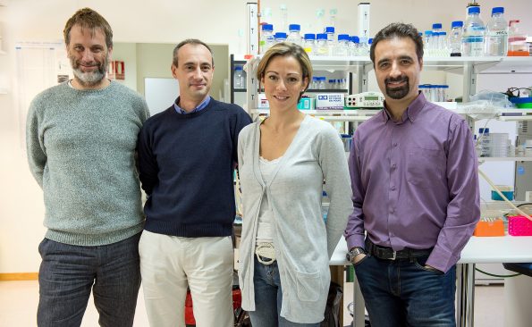 Grupo de investigadores del laboratorio de Neuroprotección Molecular del Hospital Nacional de Parapléjicos de Toledo (Foto: Carlos Monroy//SESCAM)