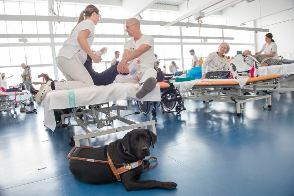 Alumnos de fisioterapia de la ONCE realizan prácticas en el Hospital Nacional de Parapléjicos (Foto: Carlos Monroy // SESCAM)