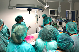 El Servicio de Animalario y Cirugía Experimental de Parapléjicos, sede de los talleres del Congreso de la Sociedad Española de Anestesia y Analgesia Veterinaria