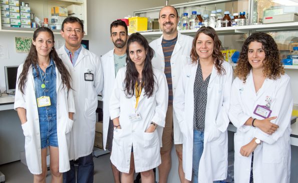 Grupo de Investigación Reparación Neural y Biomateriales del Hospital Nacional de Parapléjicos. Foto: Carlos Monroy // SESCAM