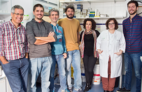 HNP y la Universidad de Valladolid desarrollarán tecnología basada en biomateriales para la lesión medular