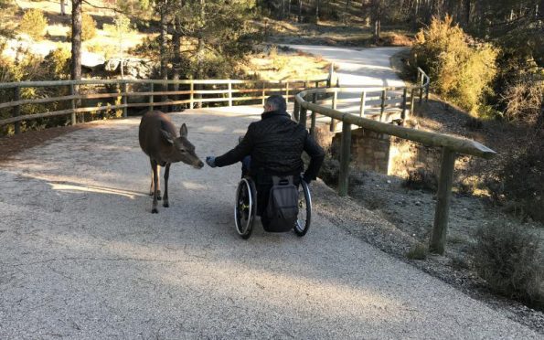 La accesibilidad es cosa de todos. Descubre las posibilidades de viajar en silla