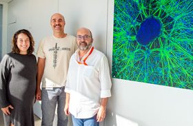 El Hospital Nacional de Parapléjicos acerca la neurociencia a la ciudadanía con un nuevo ciclo de Neurocharlas
